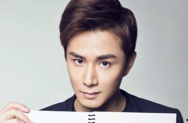 李什么冰明星,璀璨星途，闪耀娱乐圈